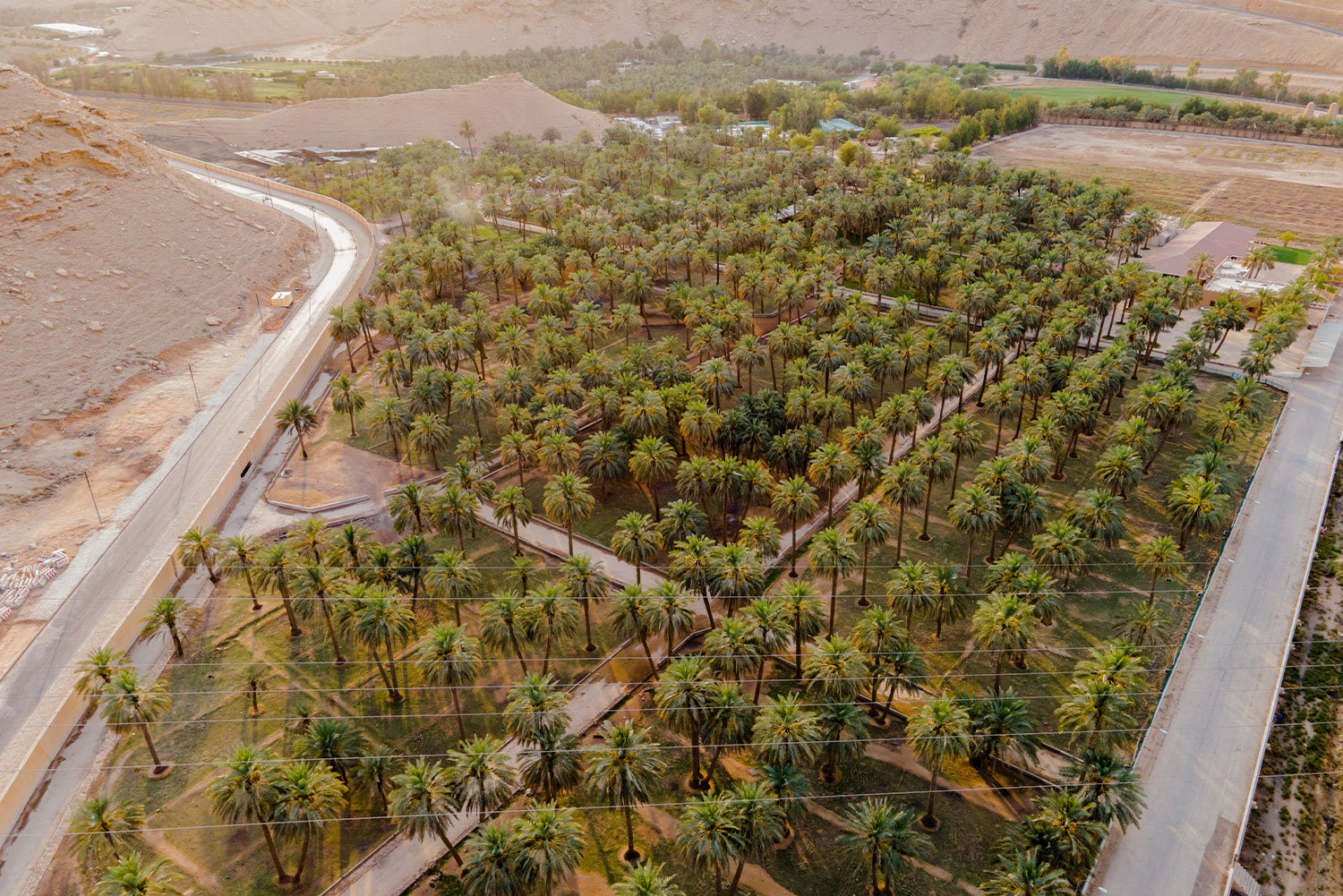 AL OSAILAH NURSERY